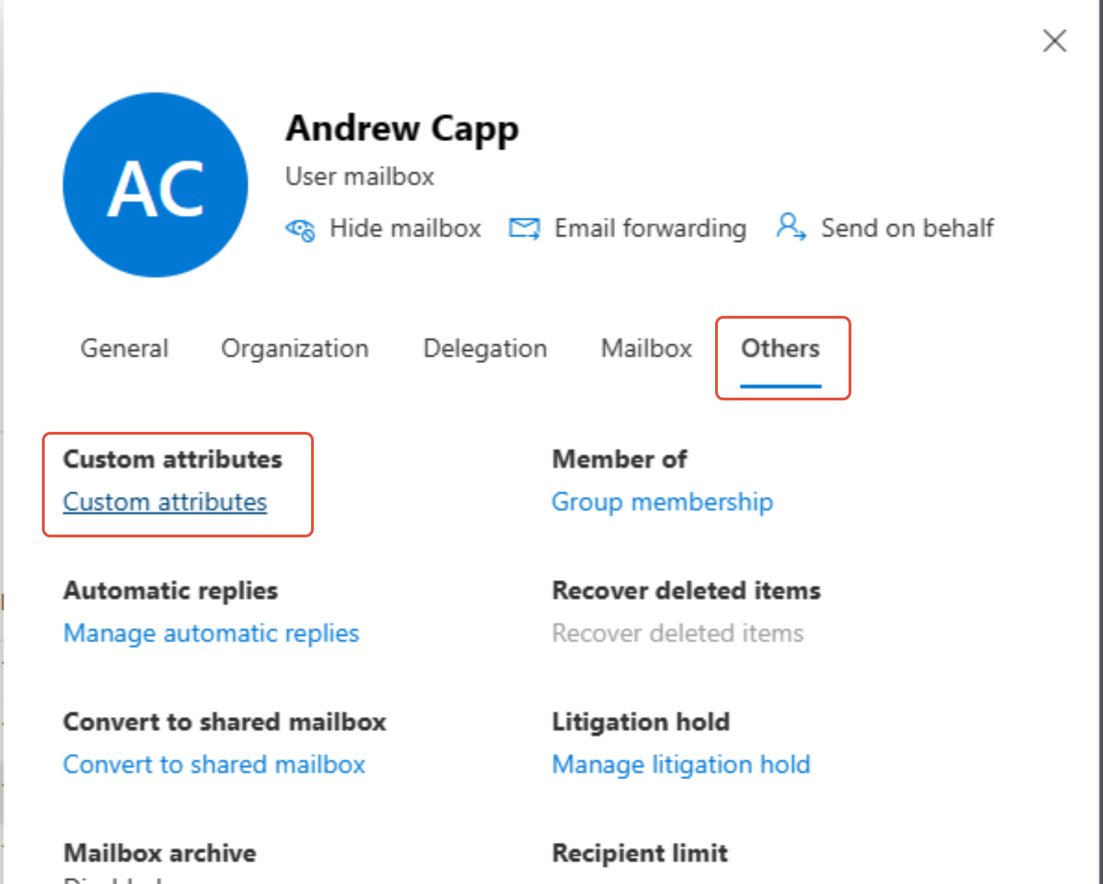 Others tab showing Custom attributes link